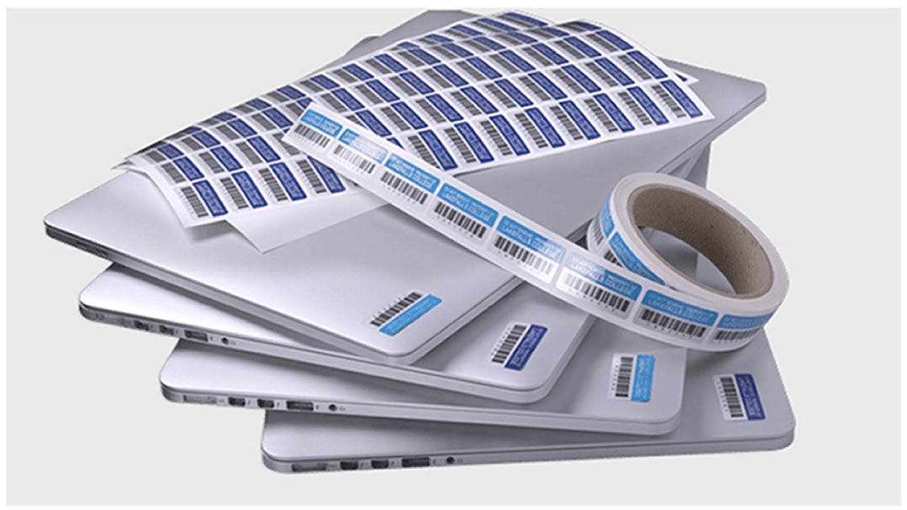 Asset Tags Overview | Durable Solutions for Asset Management | Maverick Label