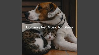 Relaxing Pet Dream Music (Loopable)
