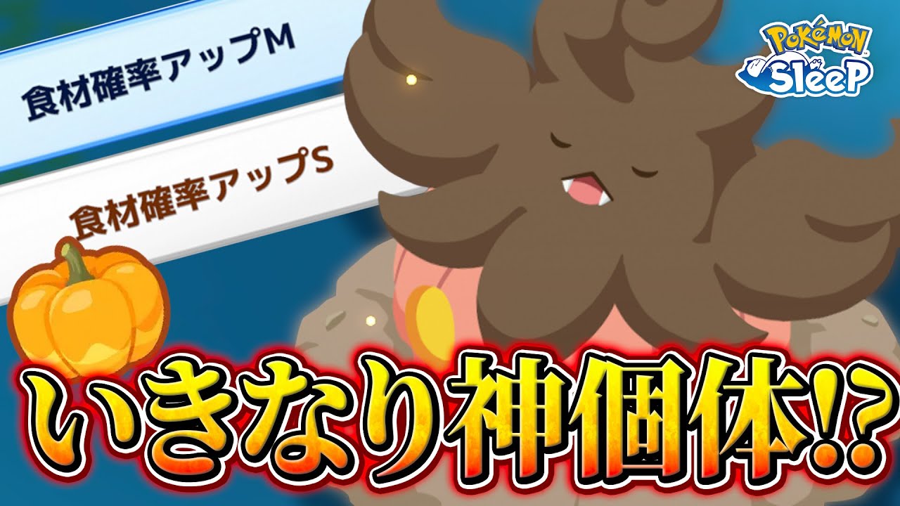 【ポケモンスリープ】バケッチャ、パンプジンがサプライズ実装！！！！そしていきなり神個体
