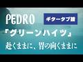 PEDRO - グリーンハイツ ギタータブ譜