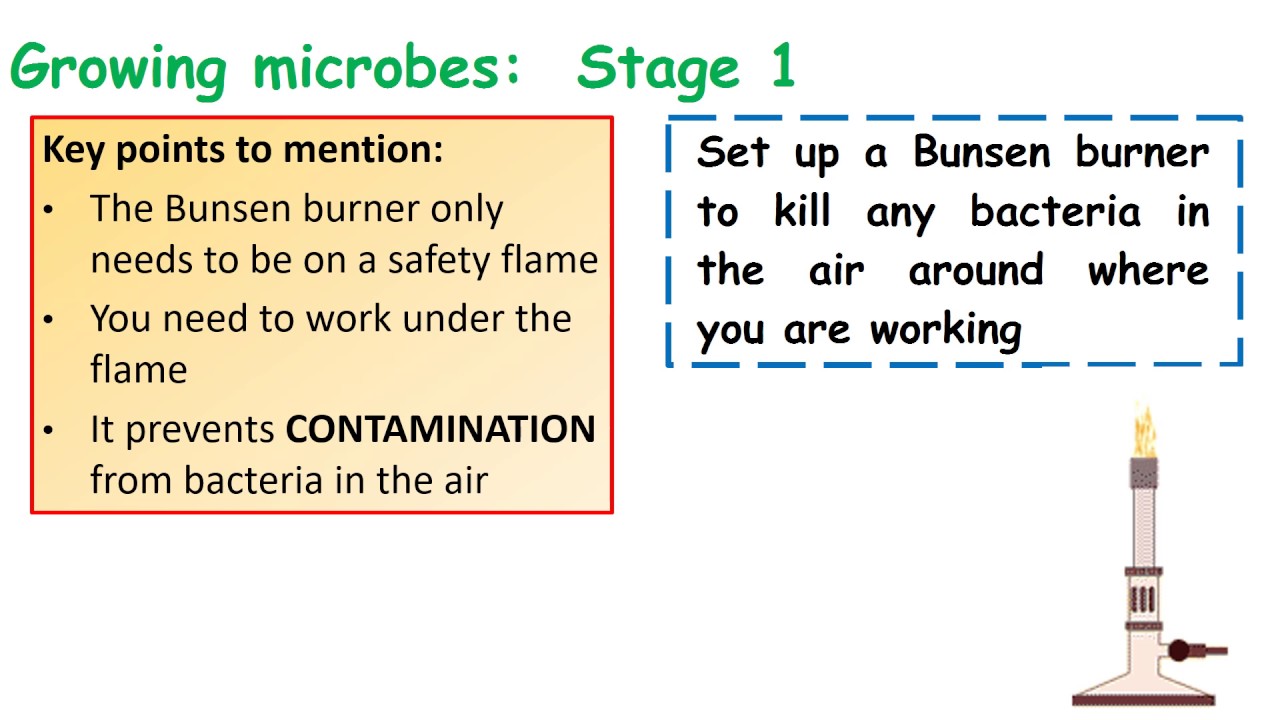 GCSE Science Revision: How to answer long answer questions growing microbes camera iphone 8 plus apk