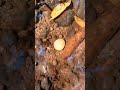 Finding Precious Quartz Crystal Gemstone In The River [part 38] #crystals #mining #find #gemstone