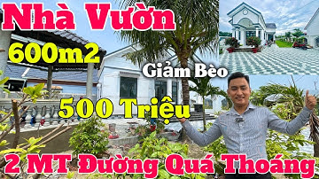 Tập 43 👉 NHÀ VƯỜN VEN CẦU ÔNG THÌN Q8 Tổng 600m2 full Thổ Cư Giảm Bèo 500 Triệu Nhà Vườn Long An ✅