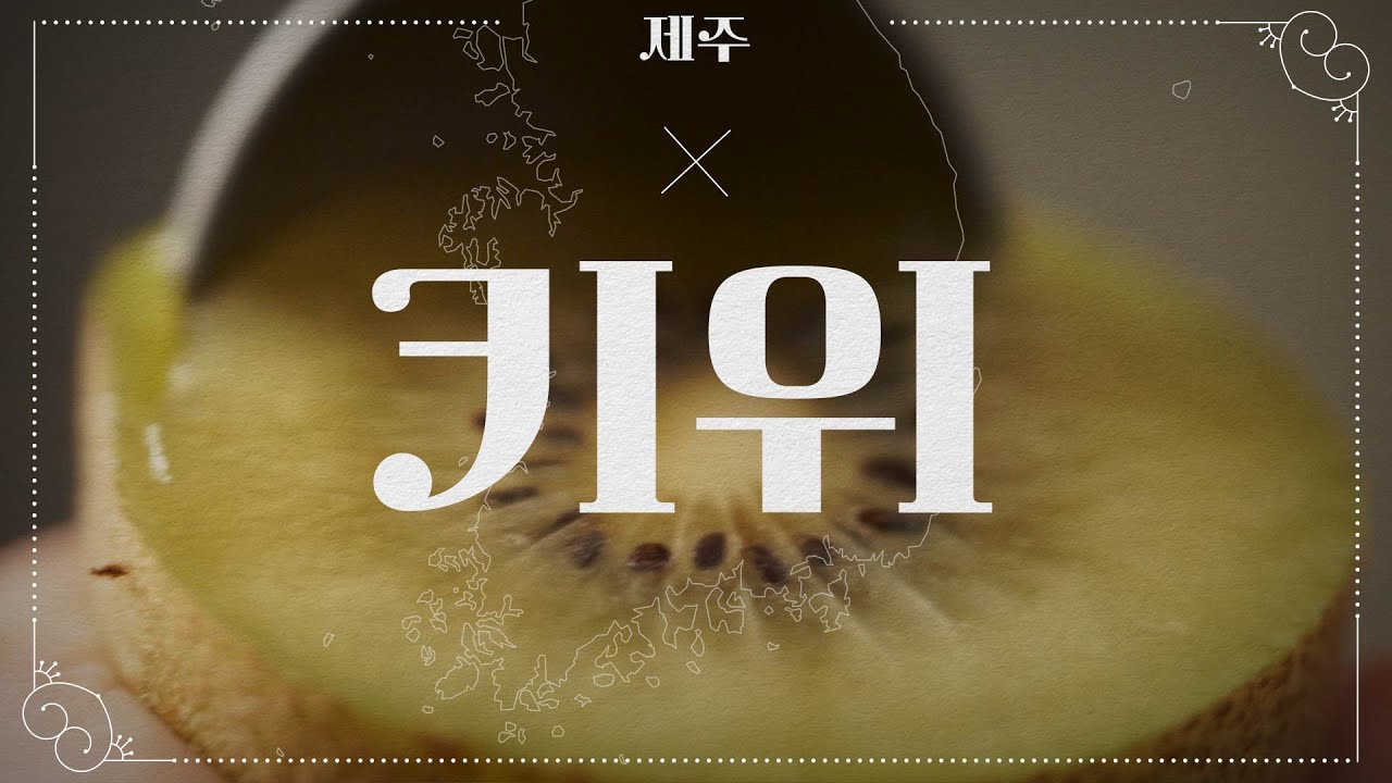 ‘뉴질랜드 키위’가 자라는 요즘 제주 근황