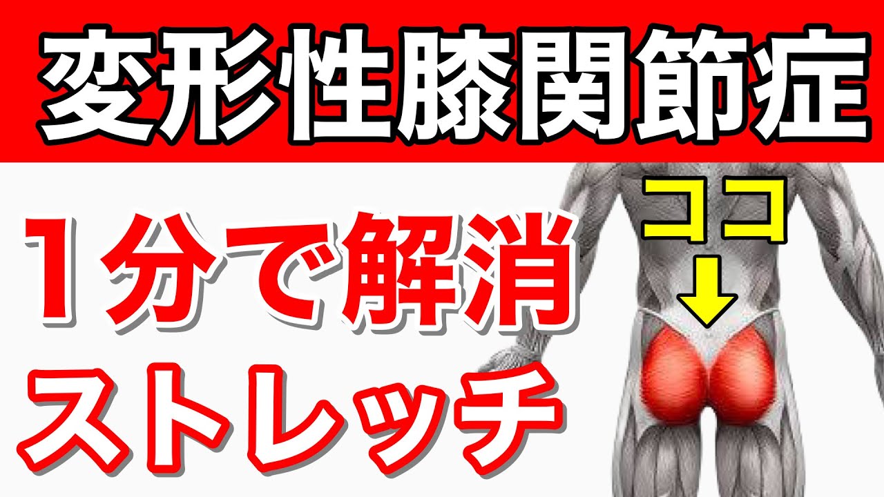 たった1分】変形性膝関節症の膝の痛みを解消するストレッチ方法【東京
