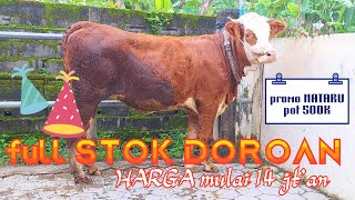 Download Lagu Stok TERBARU FULL DOROAN  ✅️✅️ BANYAK PROMO AKIR TAHUN‼️ MP3