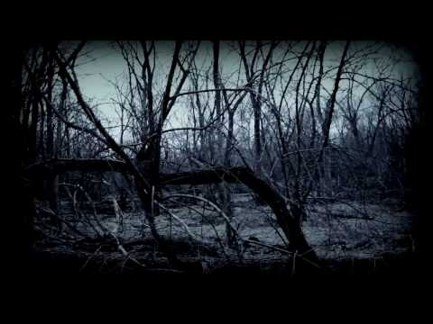 Withering Soul - Hour of Obstinacy (Official Video)