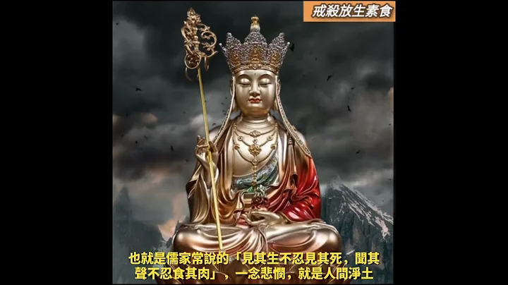 #戒殺放生素食 儒家常說的「見其生不忍見其死，聞其聲不忍食其肉」，一念悲憫，就是人間淨土 - 天天要聞