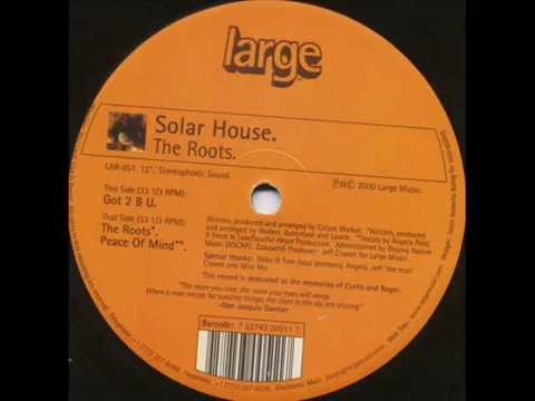 Solar House  -  Got 2 B U