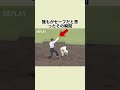 【高校野球で観客乱入】史上最悪の大誤審 #野球 #甲子園