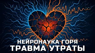 видео: Травма утраты: как горе меняет мозг и психику картинка: Травма утраты: как горе меняет мозг и психику