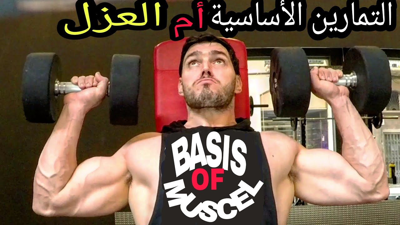 من اليوم غتعرف بروغرام تدريب ديالك و التمارين لي تغيرك | جابلي أفضل مكمل بروتين