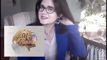 Are Minds Just Brains? Psychoneural Identity Theory