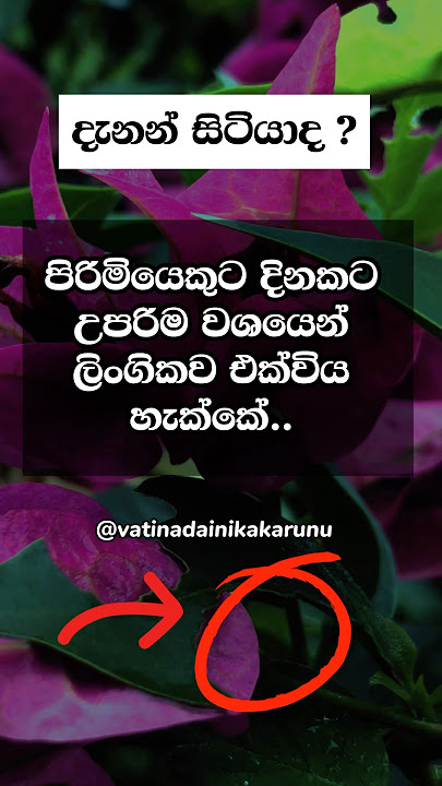 ඔයාට කී සැරයක් පුලුවන්ද ☝️ #shorts #psychologyfacts #fyp