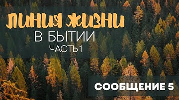 Сообщение 5 | Второй этап падения человека и формирования системы мира