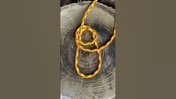 Knot of the Day - Angler’s Loop | Perfection Loop #shorts (More info in description)