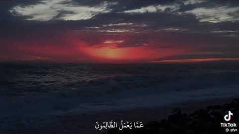 سورة ابراهيم آية٤٢ القارئ عبدالرحمن مسعد🕊.