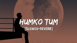 Humko Tum Mil Gaye (Slowed+Reverb)- Vishal Mishra | Textaudio