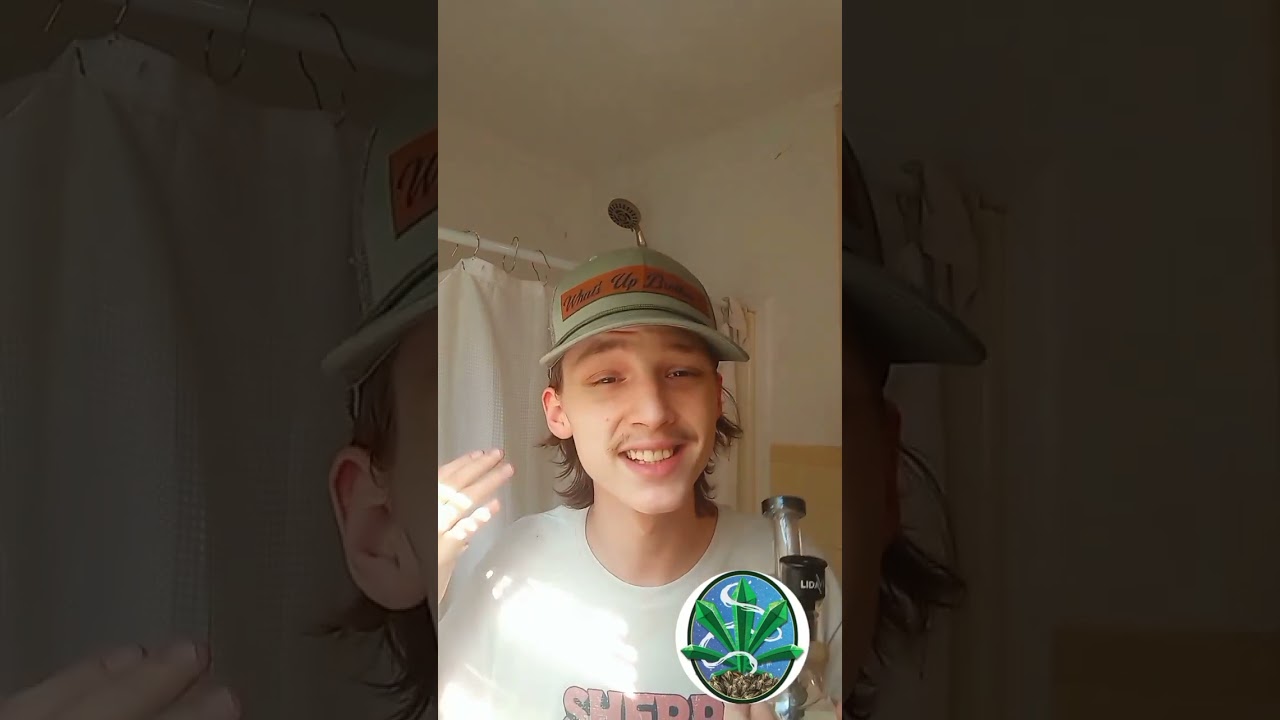 Alien Pebble Review by Dr.Lung710  