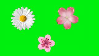 Latest Flowers Green Screen Video Flower Animation Green Screen