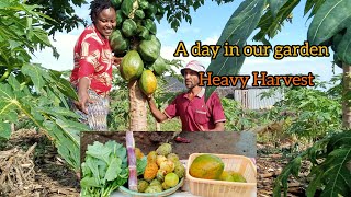 A Rewarding Life in our Small Homestead/African village life
