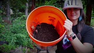 How to Make Your Own Bucket Compost at Home!