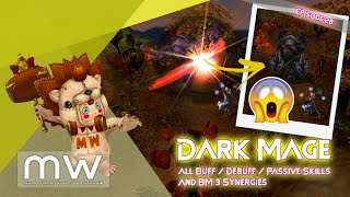 Cabal Online - Episode 28 - All Buff / Debuff / Passive and BM3 Synergies of Dark Mage 👾👾👾