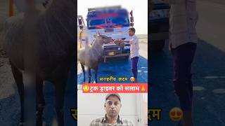 “Real Humanity 🙏 Truck Driver Helps Thirsty Animal in Rajasthan