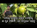 😲ಅಸಾಧ್ಯ ಮಣ್ಣಿನಲ್ಲಿ 2500₹ ದಿನ ಆದಾಯ! 🌾ಒರ್ಗ್ಯಾನಿಕ್ ಗುವಾ ರೈತನ ಸಂಪೂರ್ಣ ಕಥೆ | KVK ವಿಜ್ಞಾನಿಗಳ ಮಾರ್ಗದರ್ಶನ