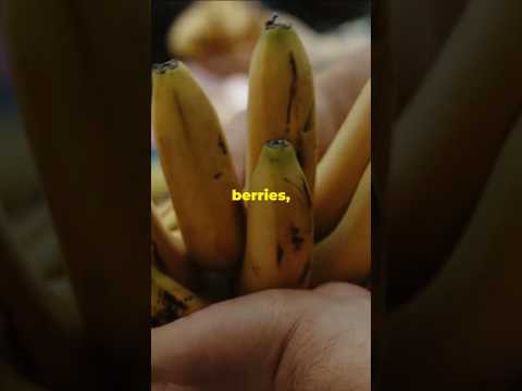 Bananas Are Berries
