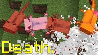 Casual Axolotl Abuse In Minecraft 1 17 Snapshot 20w51a Don t try this at home