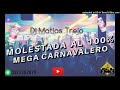 Mega cuartetos carnavaleros 24  dj matias trejo  staff club sound djs