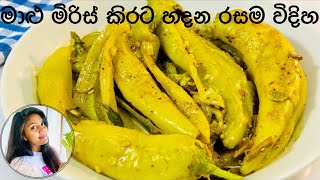  මාළු මිරිස් කිරට මේ‍ විදිහට උයන්න Maalu miris kirata | Delicious Capsicum Curry / Ape Ambula 