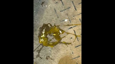 Pareidoli, meaningful patterns in the madness. What do you see?#broken #fyp #farmlife #art #beauty