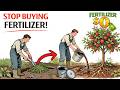 Don’t Throw Weeds Away! The Amish Secret to Restoring Soil Nutrients