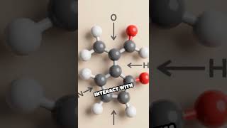 How Transition Metals Speed Up Reactions