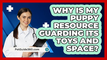 Why Is My Puppy Resource Guarding Its Toys And Space? - PetGuide360.com