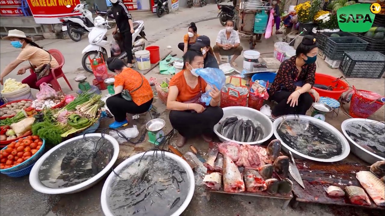 SAPA TV | CHỢ TUẦN GIÁO ĐIỆN BIÊN