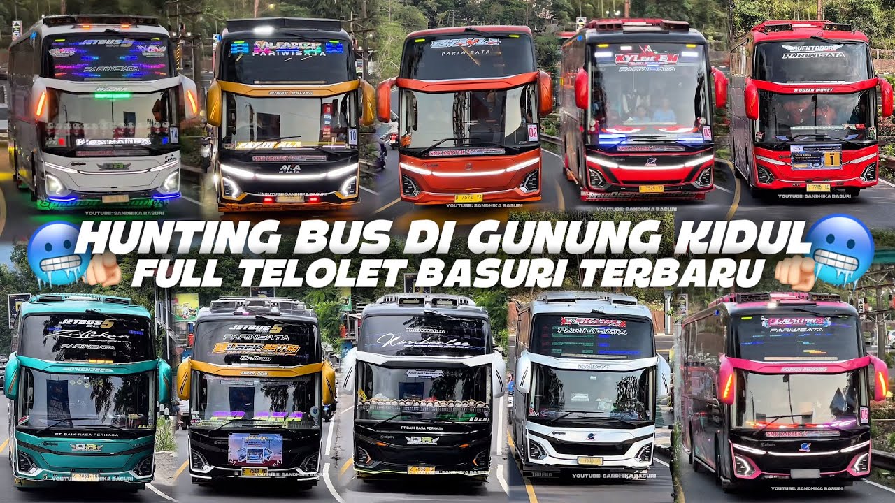 GACOR‼️ FULL BUS TELOLET BASURI🥳 Hunting Bus Di Gunung Kidul Yogyakarta 🤤💃🏻