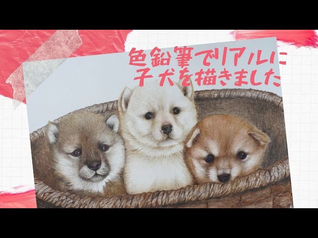 りんねページです。色鉛筆画　犬の絵 りんねです。色鉛筆画 パグ ペット 代引き不可】 りんね様専用