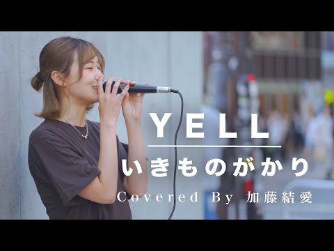 絶対売れるとのコメントが殺到した歌姫が半端ない!! YELL / いきものがかり （Covered By 加藤結愛）