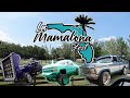 LA MAMALONA FEST 2022 || PLANT CITY FLORIDA