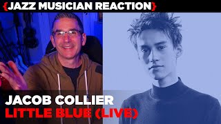 Jazz Musician REACTS | Jacob Collier 'Little Blue' (LIVE)  | MUSIC SHED EP388
