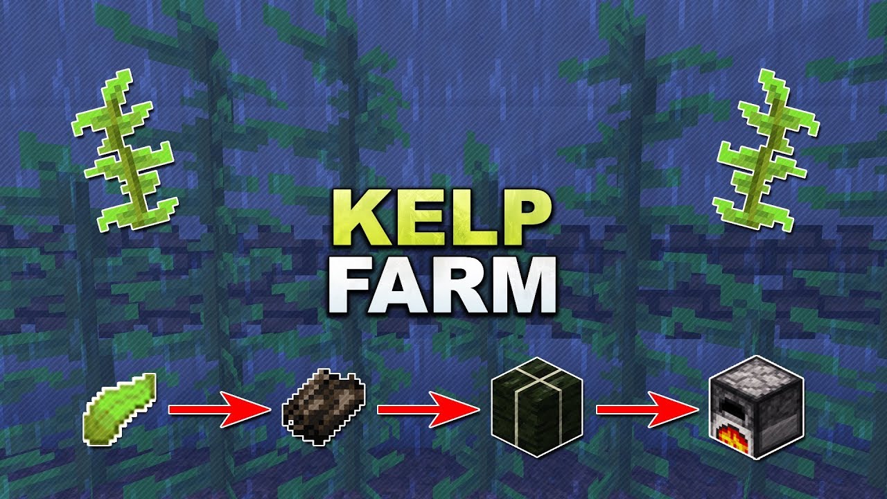 Minecraft - Kelp Farm // Seetang Farm - Tutorial 1.17 