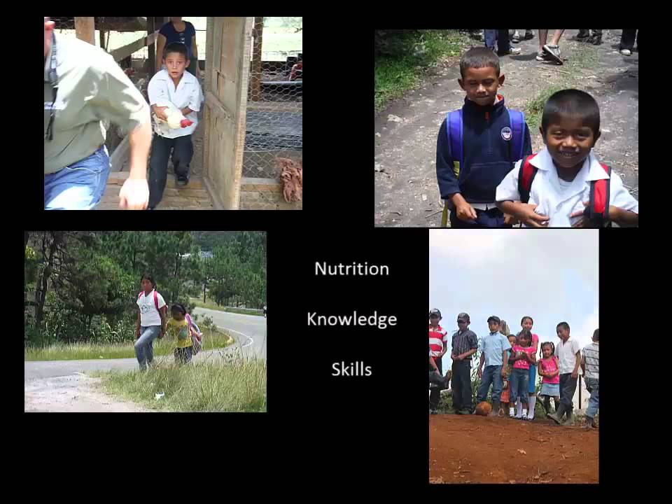 camera iphone 8 plus apk Elanco Heifer Empowerment from Wanda Henderson