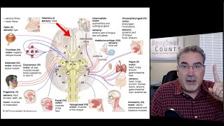 Surgical Technology Preview - Neurosurgery