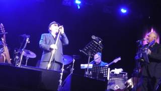 VAN MORRISON AND HIS BAND PERFORM - BY HIS GRACE