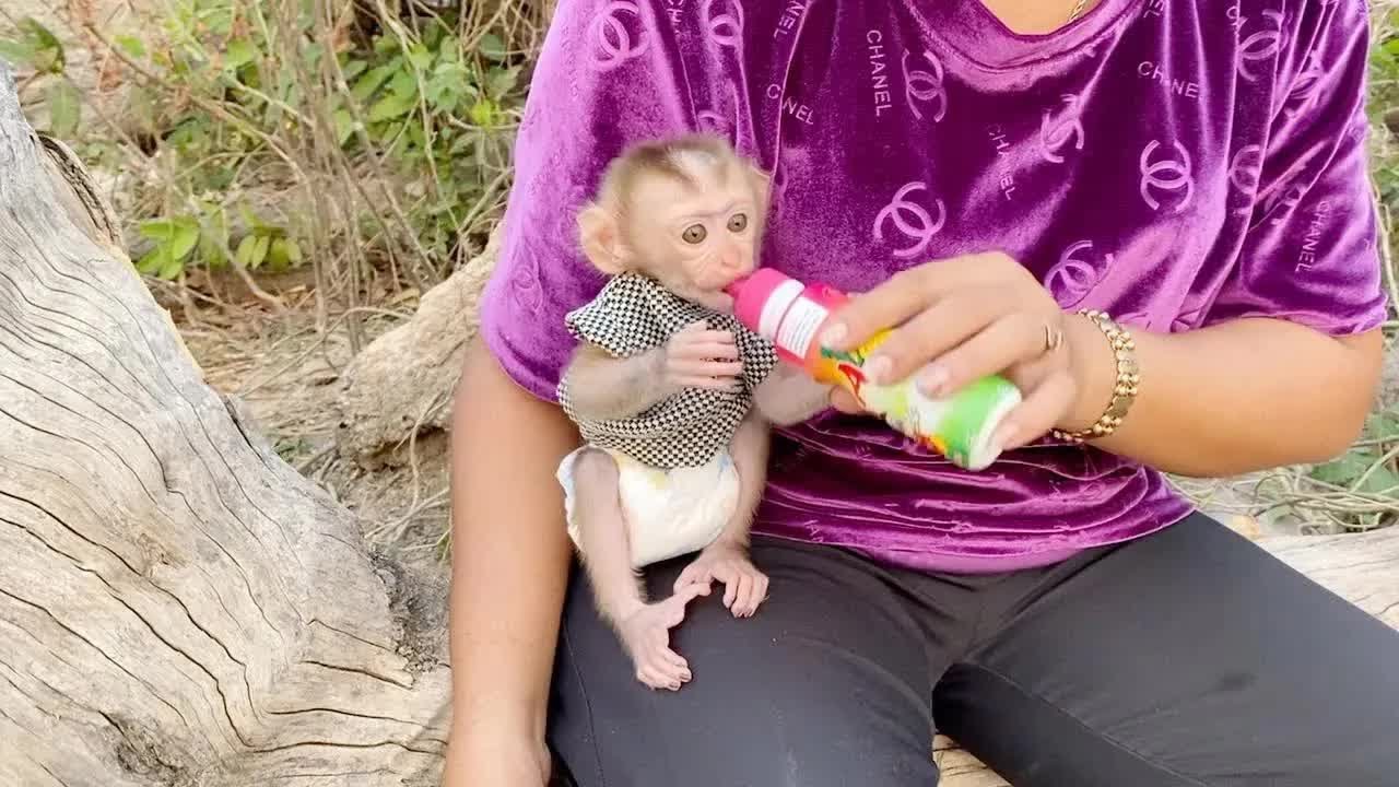 Mom Took BB DAM To Hangout And Feed Him Delicious AD Milk