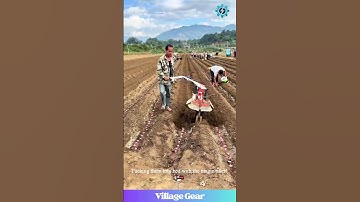 A Mini-Tiller That Plants POTATOES is Now a Thing! 😂 My Back is So Happy For This Farmer! #potato