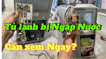 Khắc PhụcTủ Lạnh Bị Ngập Nước-Chi Tiết, Không Cần Gọi Thợ?#shortvideo #thinhhanh   #thoitiet #tiktok